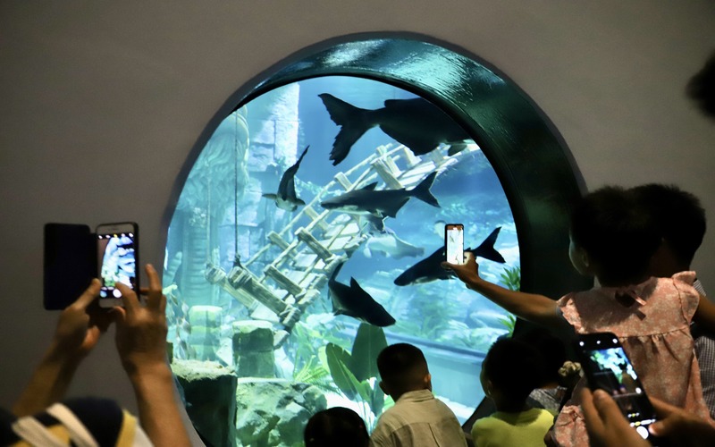 Since its opening, the aquarium attracts a large number of tourists.